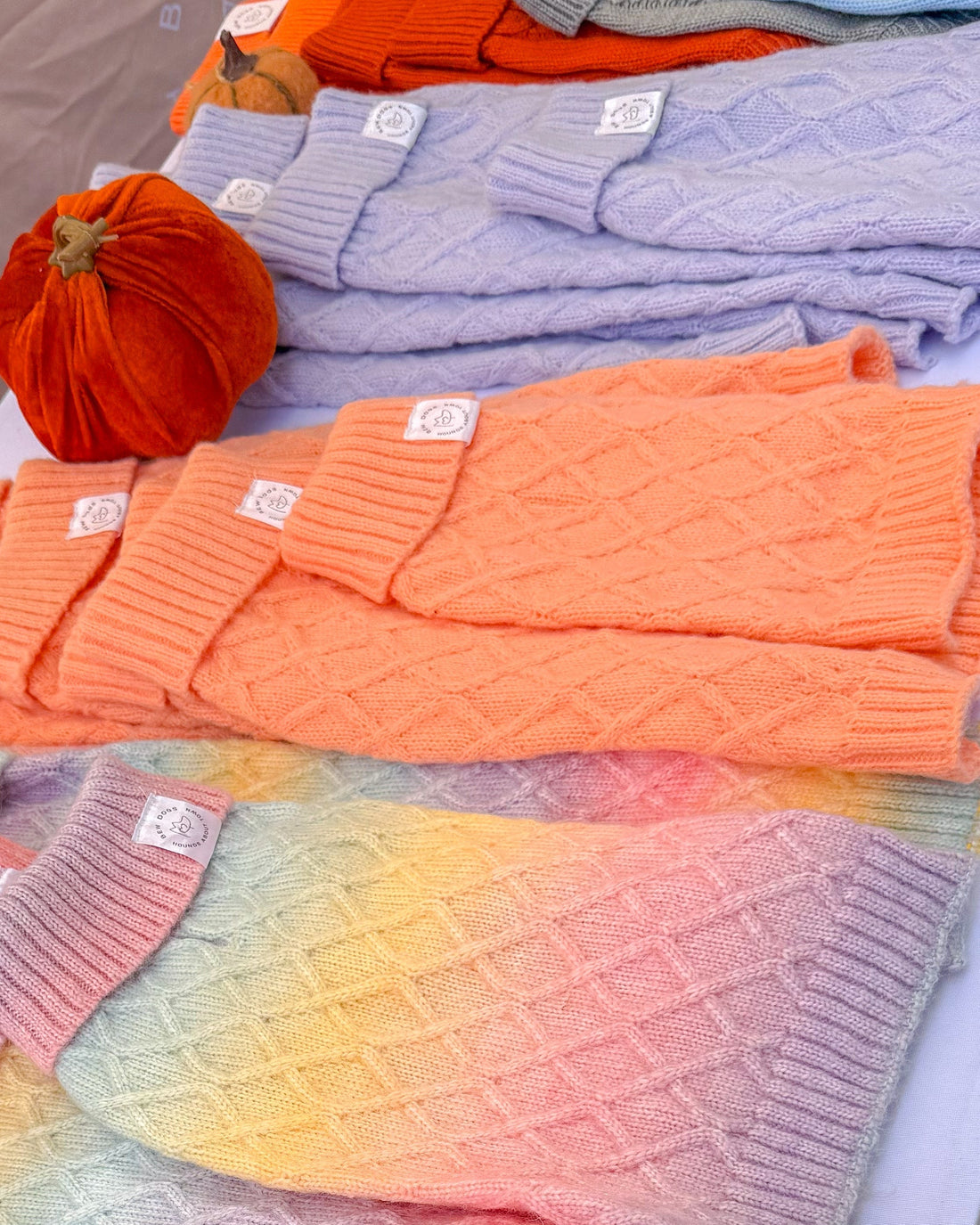 Do Dogs Really Need a Jumper?