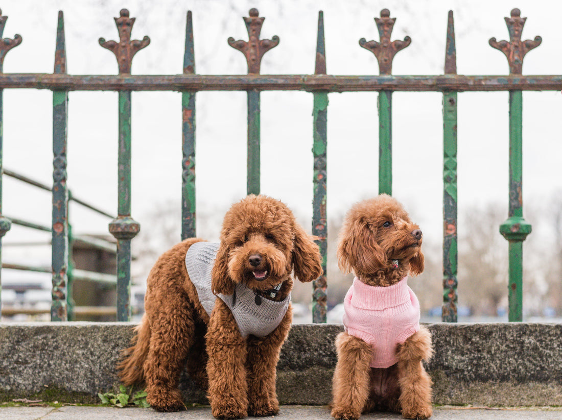 Why We Design for Everyday Walks, Not Just Instagram