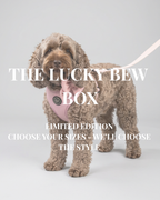 The Lucky Bew Box