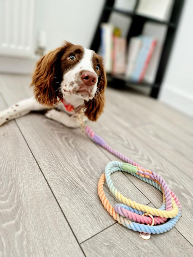 Slimline Rainbow Rope Lead