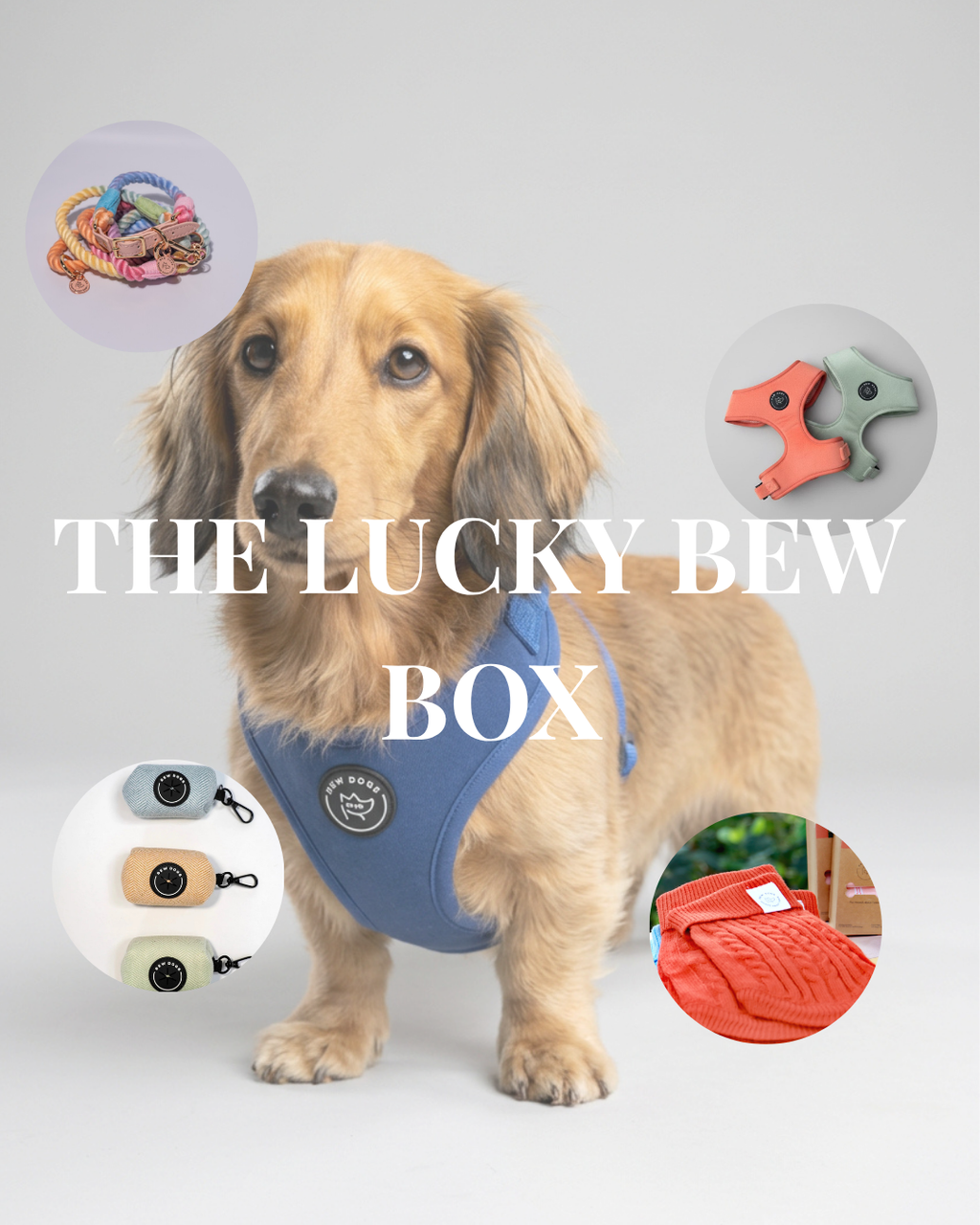 The Lucky Bew Box