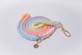 Slimline Rainbow Rope Lead