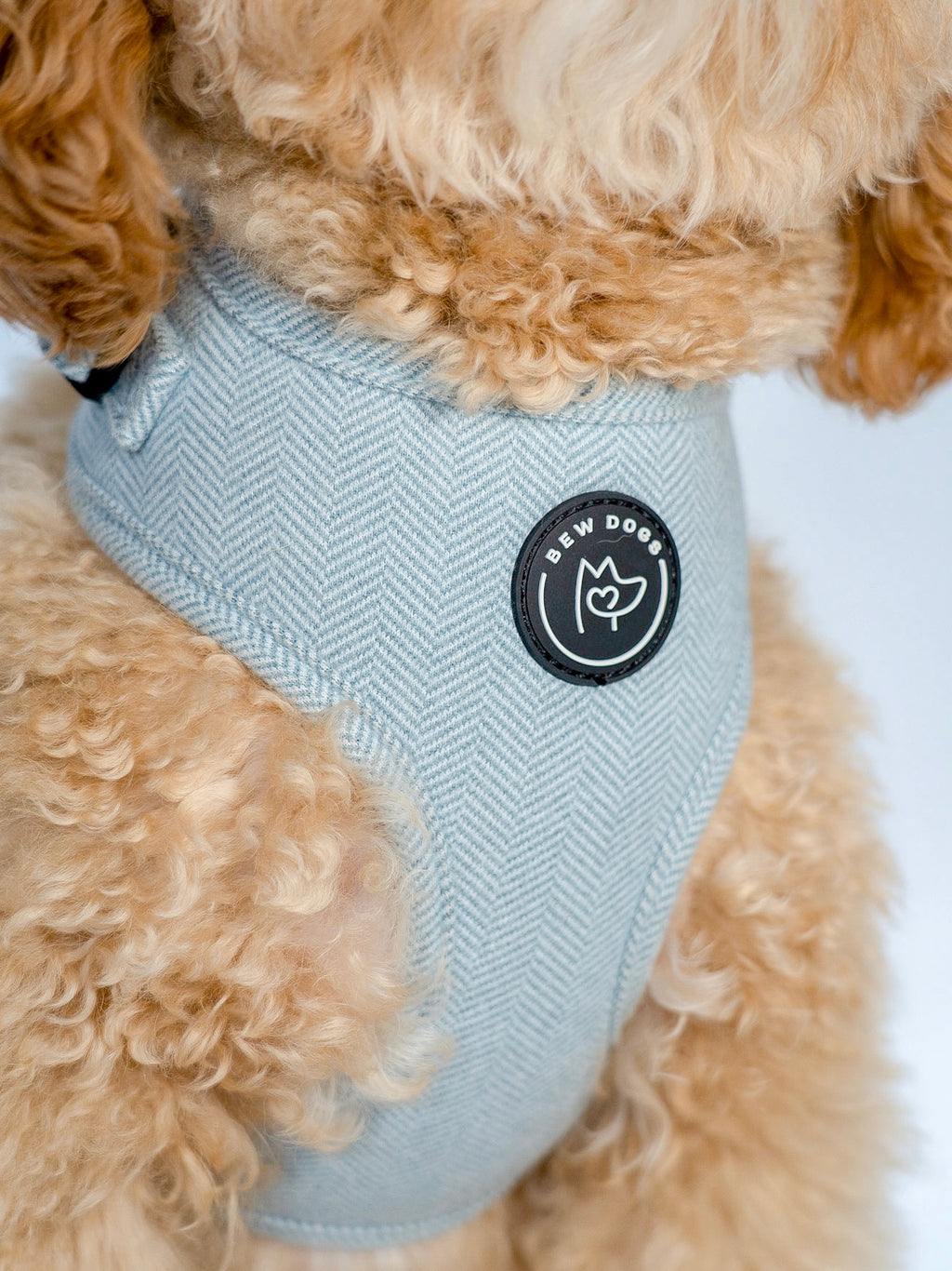 close up of a dog wearing a light blue harness with a logo on a white background, the harness has a detailed herringbone design