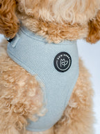 close up of a dog wearing a light blue harness with a logo on a white background, the harness has a detailed herringbone design