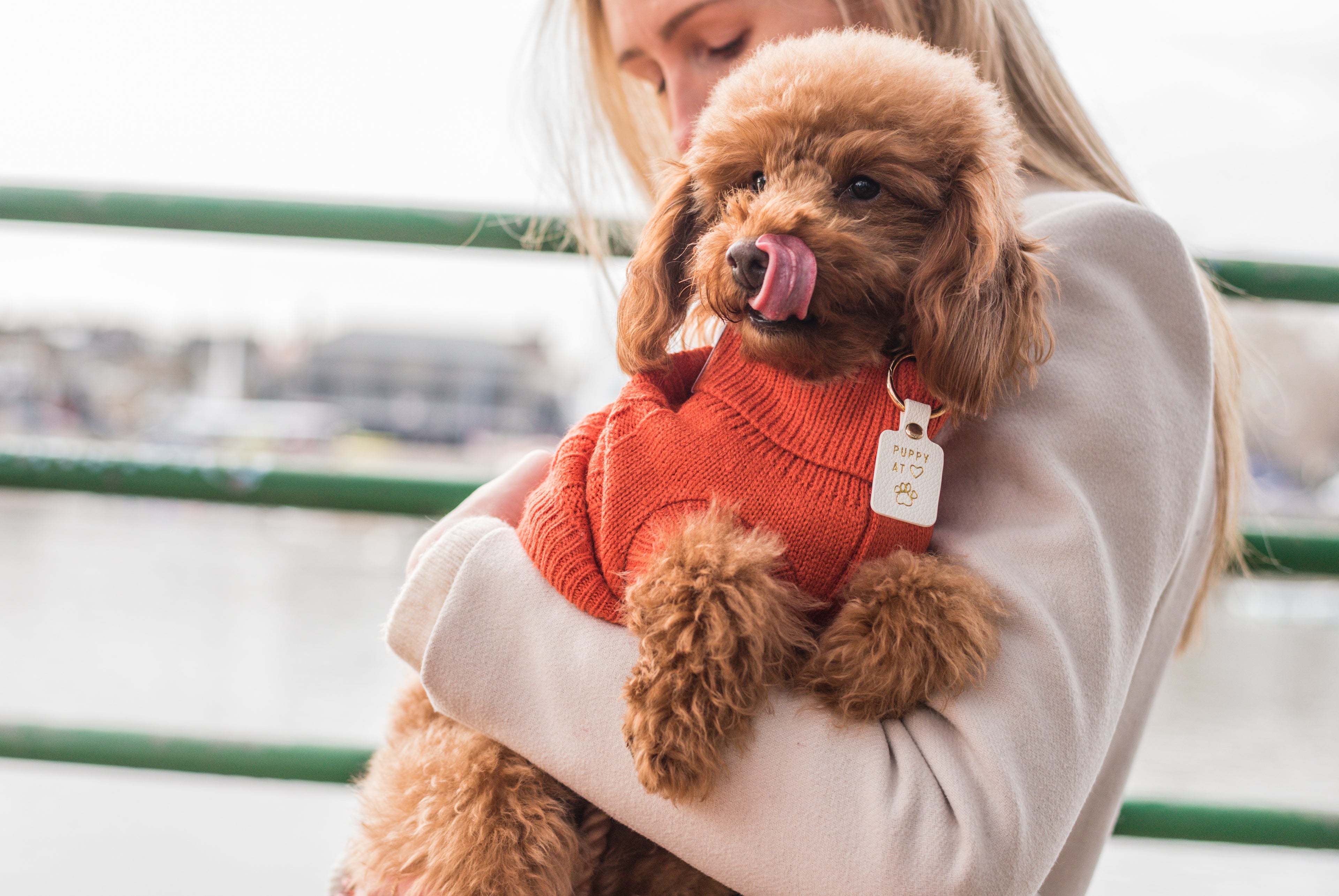 a woman wearing a cream coat, stands in front of the bars of a riverside, she is holding a cute fluffy red poodle, wearing a gorgeous burnt orange cable knit dog jumper from bew dogs and a "puppy at heart" collar tag.