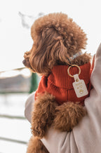 A small toy poodle wears a Bew dogs burnt orange cable knit jumper, being held by a person looking away from
The camera 