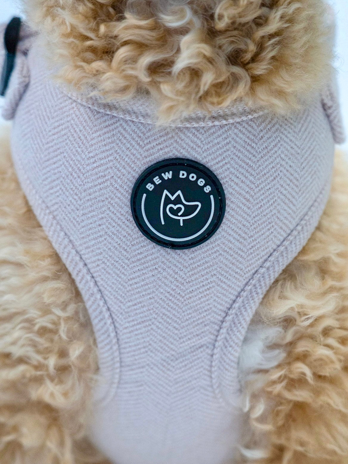 Close up of a cream fluffy dog wearing a soft, adjustable, muted lilac harness with a 'Bew Dogs' logo on a white background