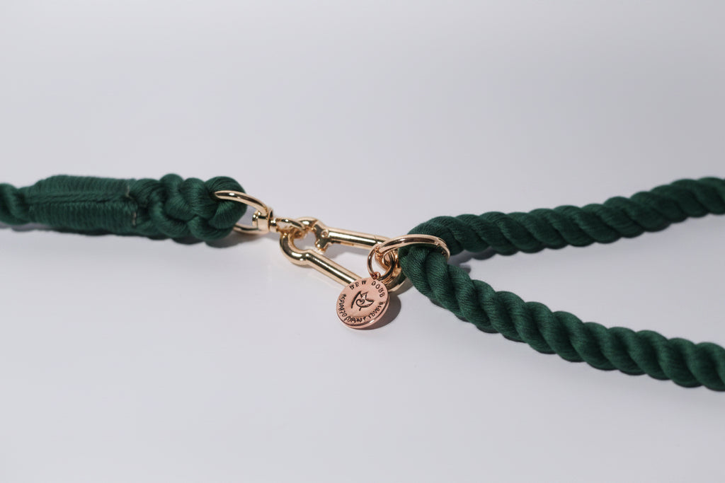 Green rope lead with gold clasp and tag on a light grey background, shown close up