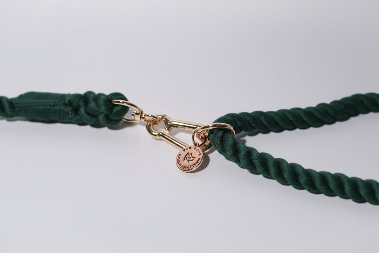 Green rope lead with gold clasp and tag on a light grey background, shown close up