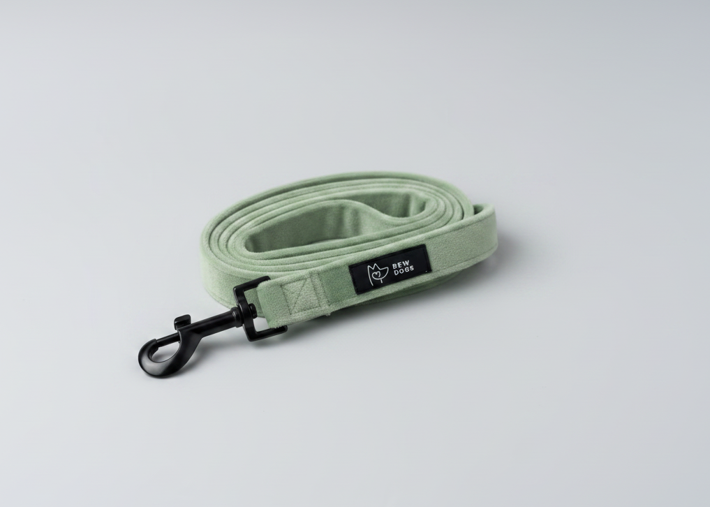 A sage green velvet dog lead, soft strong and durable, with black clasp sits on a grey background 