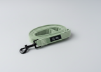 A sage green velvet dog lead, soft strong and durable, with black clasp sits on a grey background 