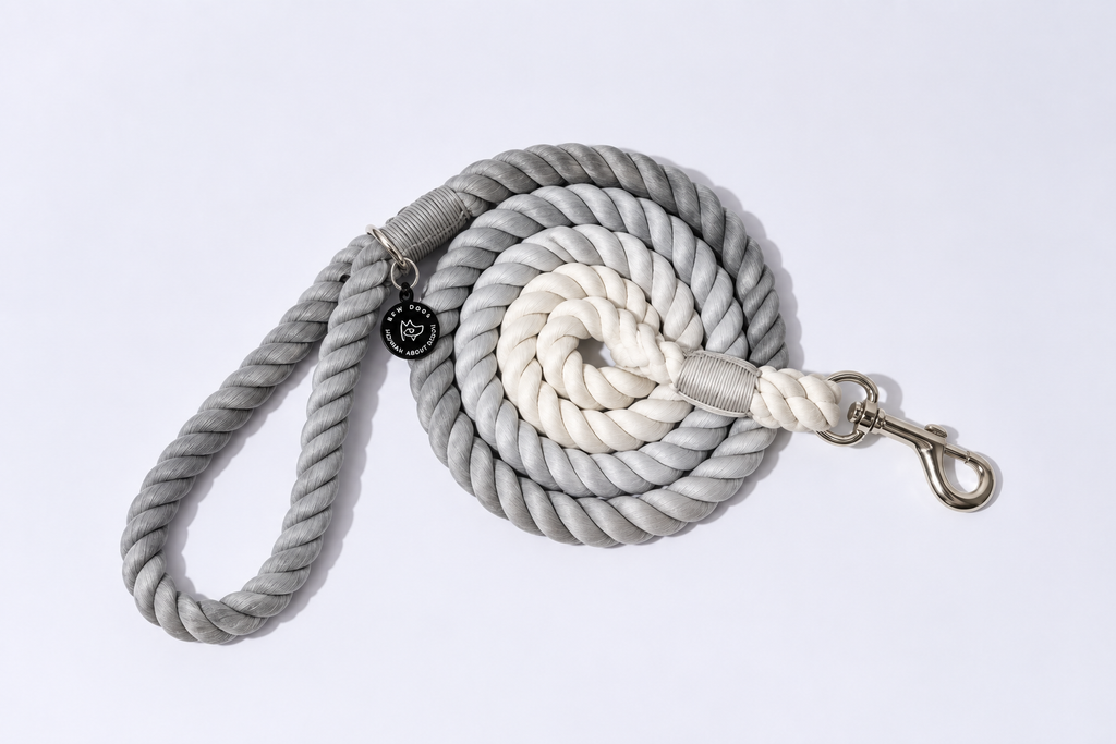 A grey and white, ombre rope lead for dogs with thick braided rope, and silver hardware - a strong & stylish lead for dogs of all sizes, set against a plain studio background 