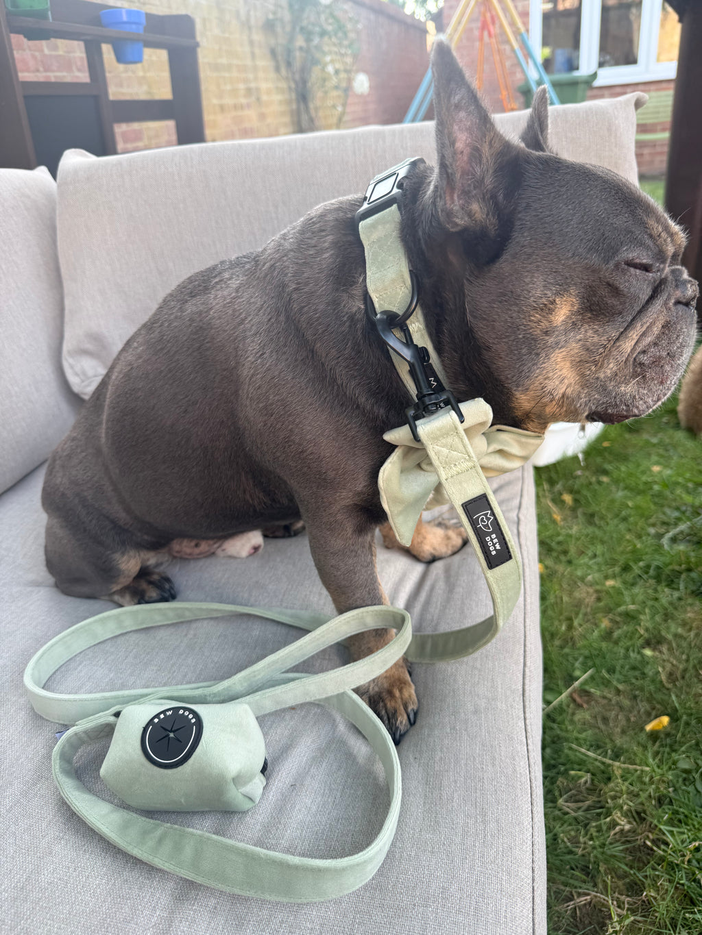 a french bulldog sits on a grey garden sofa, wearing a sage green sundown walking set, including velvet dog collar, matching velvet lead and poo bag holder
