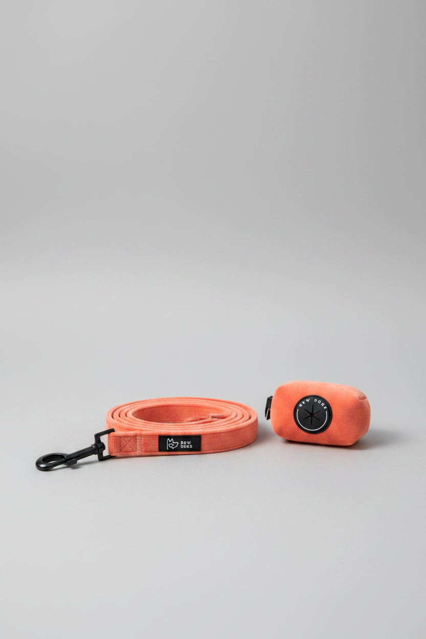  a matching peach velvet dog lead and clip on holder for poo bags, sits neatly on a grey studio background