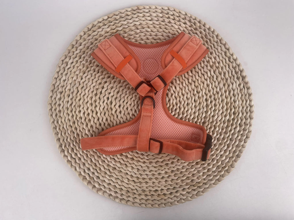 Sundown Peach Velvet Harness