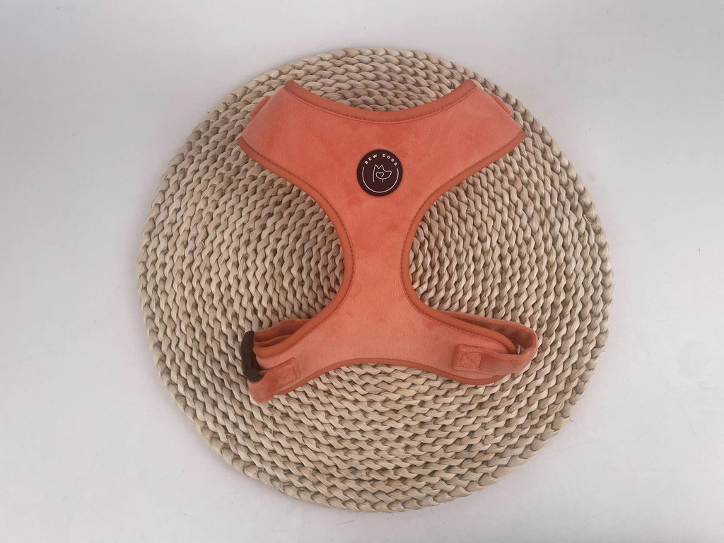 Sundown Peach Velvet Harness