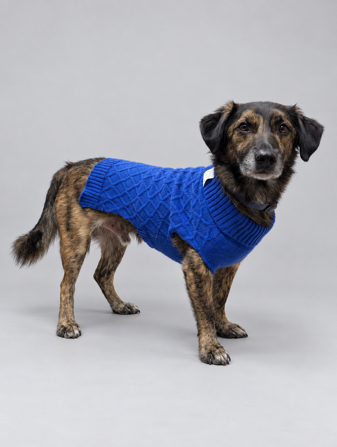Midnight Blue Cable Knit Jumper