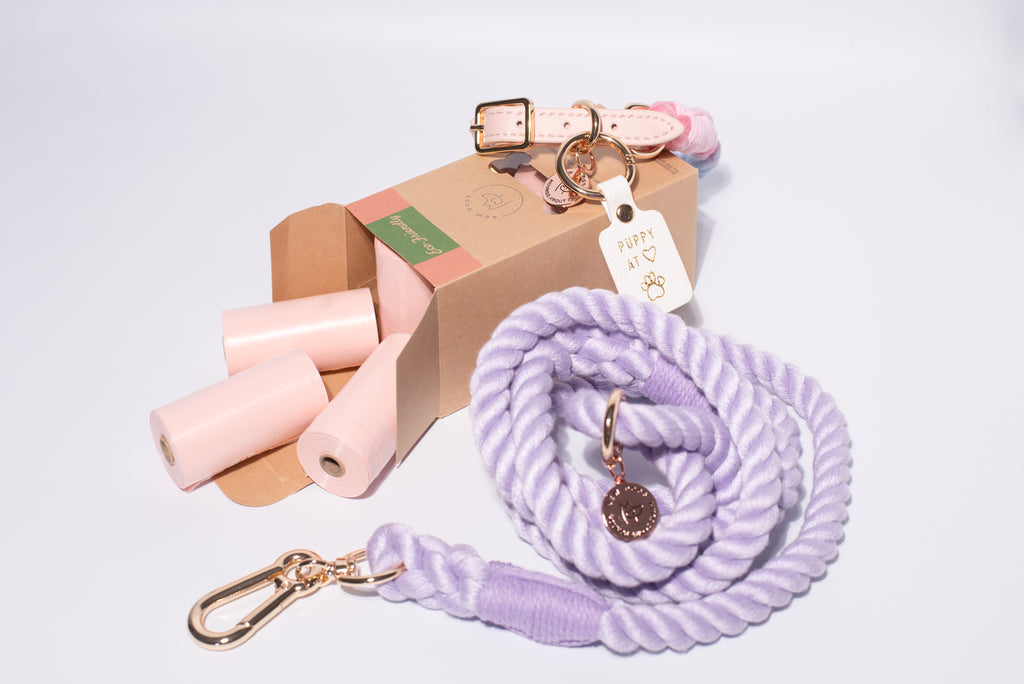 A dog accessory set includin a lilac rope lead with a gold-tone clasp, a pink and white patterned collar, several pink poop bags, and a brown cardboard box on a clean white background - perfect for all dogs