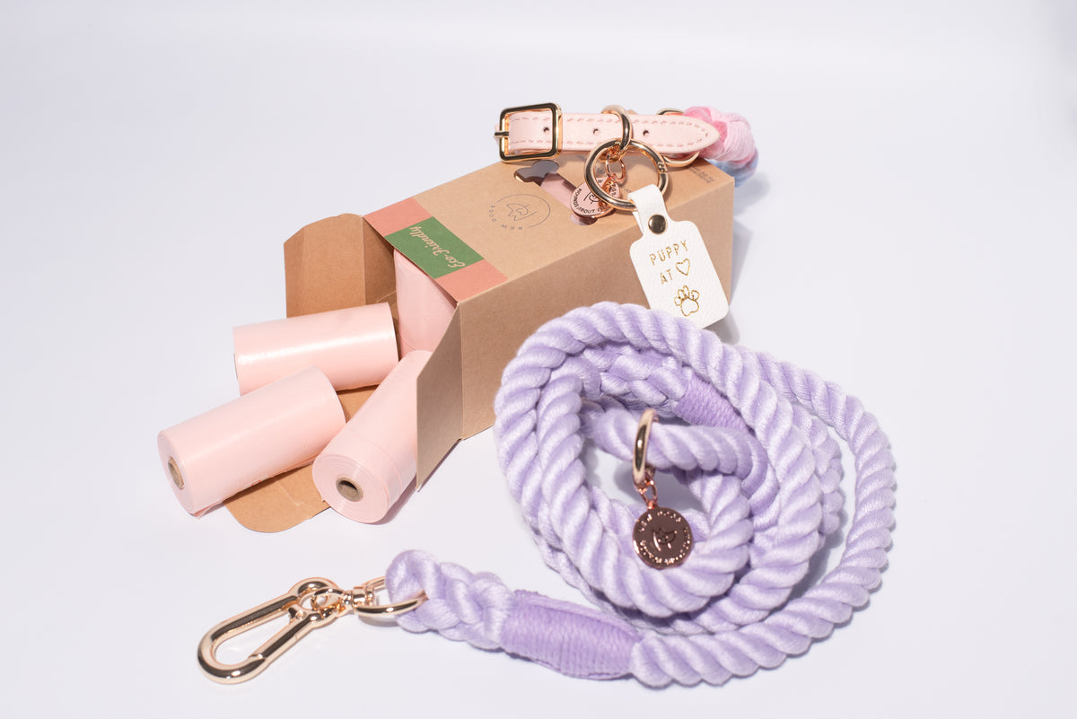 A dog accessory set includin a lilac rope lead with a gold-tone clasp, a pink and white patterned collar, several pink poop bags, and a brown cardboard box on a clean white background - perfect for all dogs