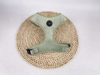Mint green dog harness on a woven placemat, against a white background 