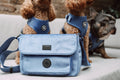 Blue velvet walking bag on garden sofa, with three dogs wearing blue harnesses in the background.