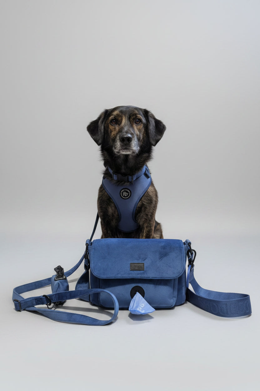 a brown and black mid-size dog models the bew dogs midnight velvet harness walking set, including dark blue velvet harness, lead and walking bag, in a studio in front of a grey backdrop