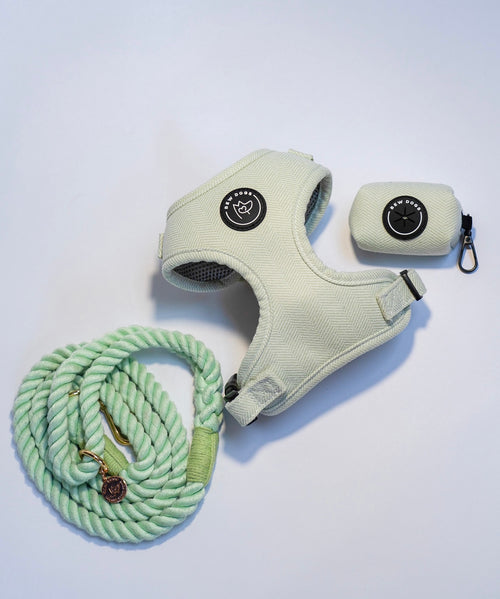 a gorgeous and curated walking set with mint green herringbone harness, matching poo bag holder for convenience and a stunning green rope lead, against  white background