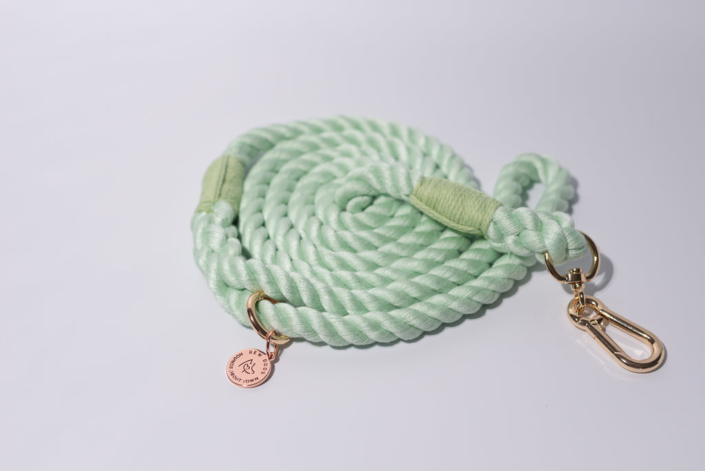 Green rope dog leash with gold clasp and tag on a light grey background