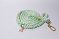 Green rope dog leash with gold clasp and tag on a light grey background