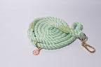 Green rope dog leash with gold clasp and tag on a light grey background