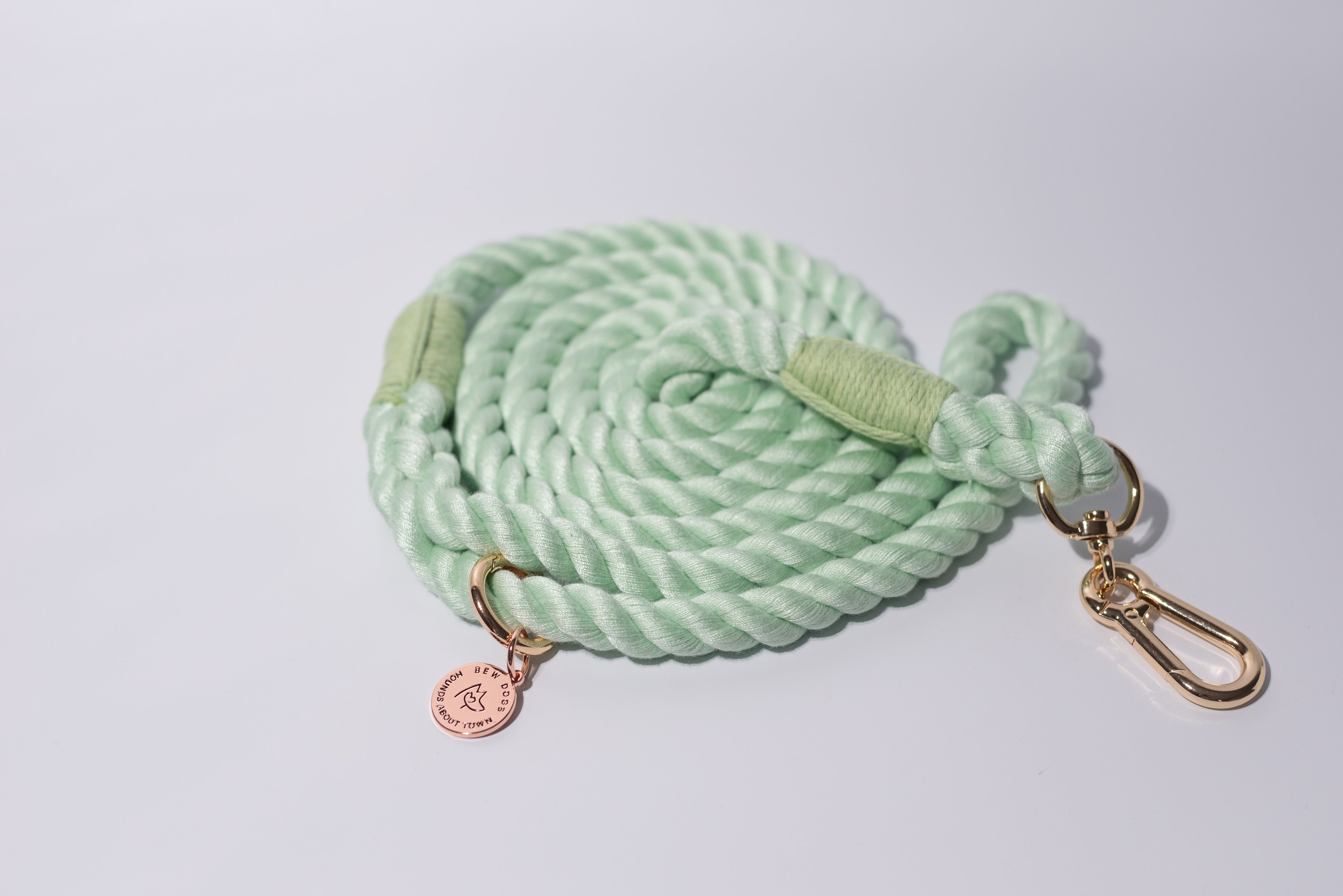 Green rope dog leash with gold clasp and tag on a light grey background