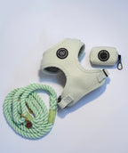 The ultimate walking set: a mint green rope lead, harness and poo bag holder sit against a grey background. 