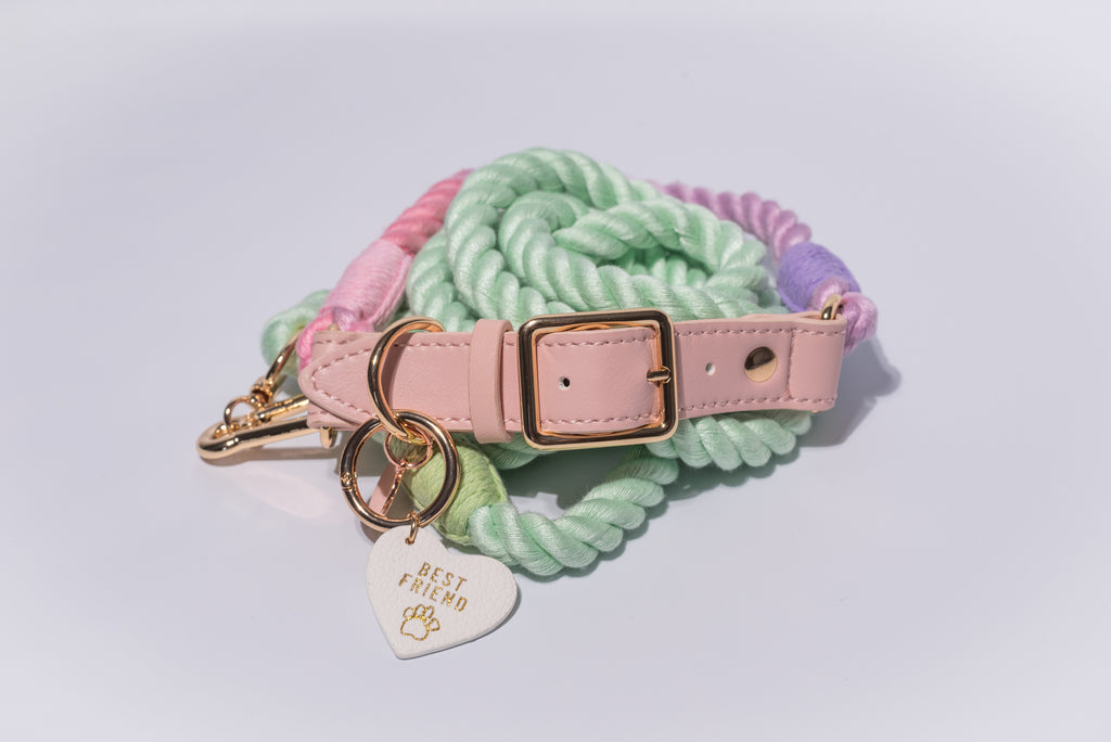 Dog collar with pastel-colored rope, pink leather strap, and 'Best Friend' tag on a light grey background - luxury accessories for dogs of all shapes and sizes