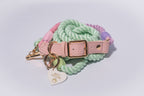 Dog collar with pastel-colored rope, pink leather strap, and 'Best Friend' tag on a light grey background - luxury accessories for dogs of all shapes and sizes
