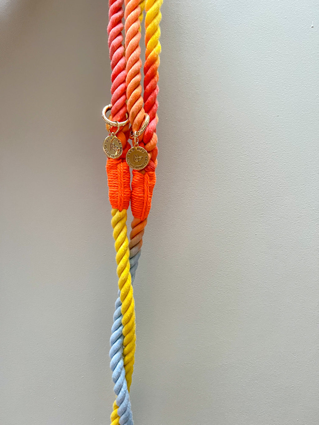 A close-up of a rope lead accessory for dogs with a gradient of orange, yellow, and light blue, featuring two small gold coin charms, hanging against a plain light gray wall - a gorgeous sundown ombre lead for dogs of all sizes 