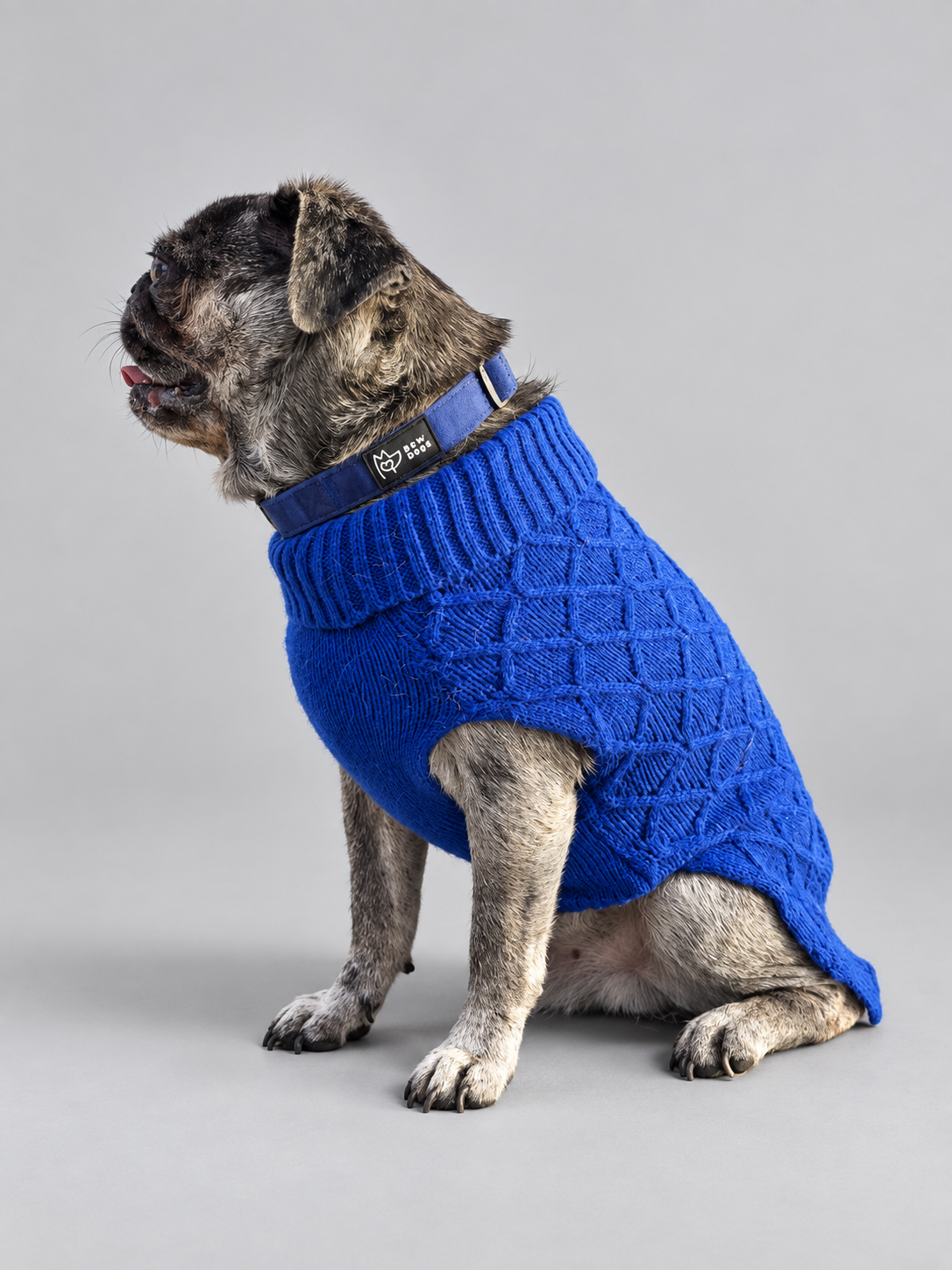 A small gray and black pug dog wearing a midnight blue knitted dog jumper and a matching blue velvet dog collar, photographed against a plain light grey studio background. He looks away from the camera 