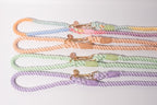 Set of colorful pastel dog leashes on a white background, in a range of colours, super durable and comfortable