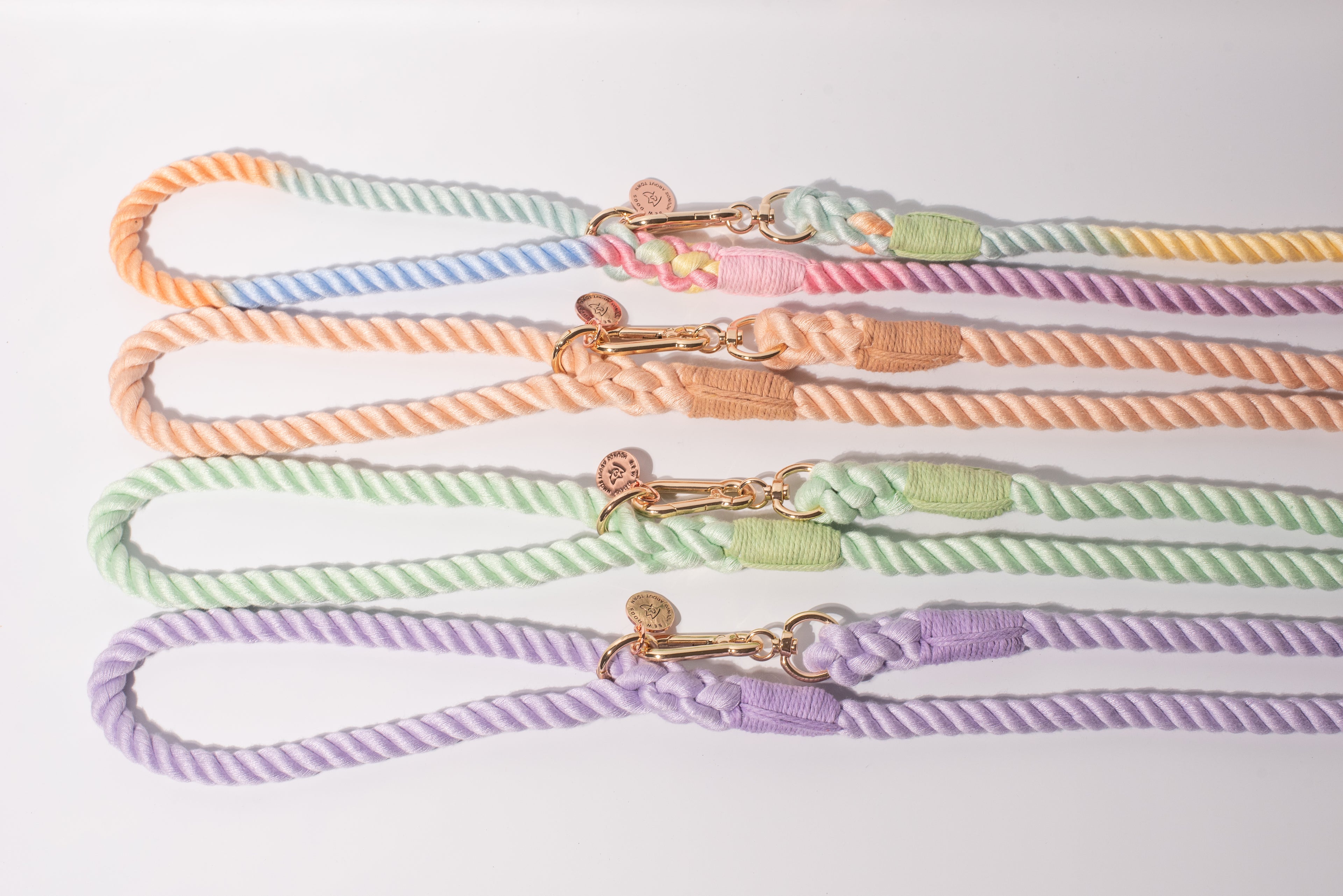 Set of colorful pastel dog leashes on a white background, in a range of colours, super durable and comfortable