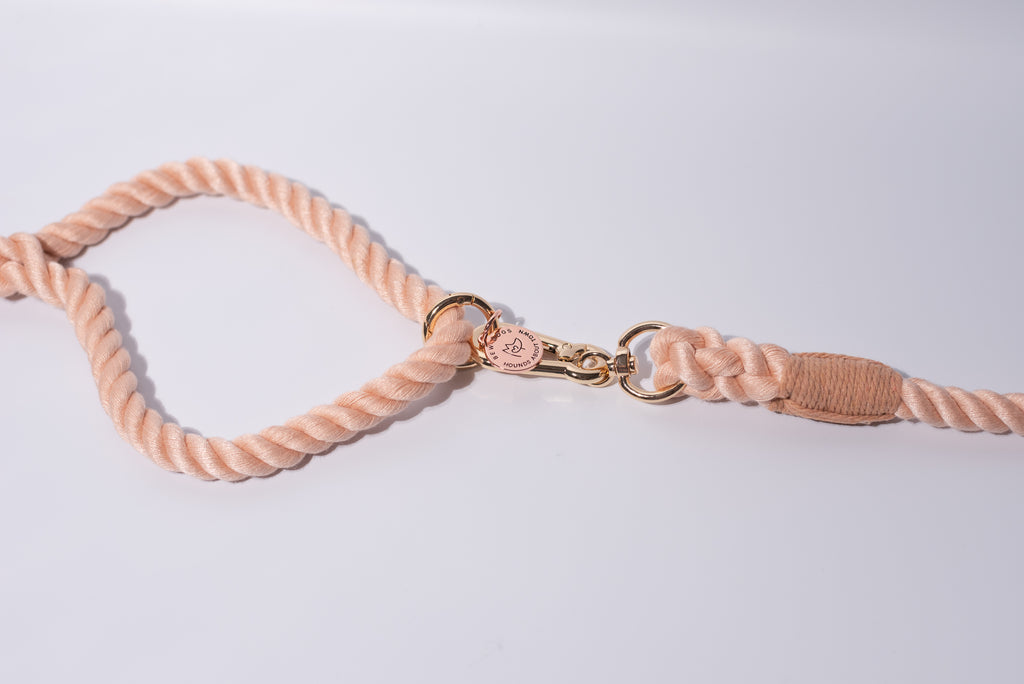 Peach dream rope lead with gold clasp on a white background, suitable for dogs of all shapes and sizes