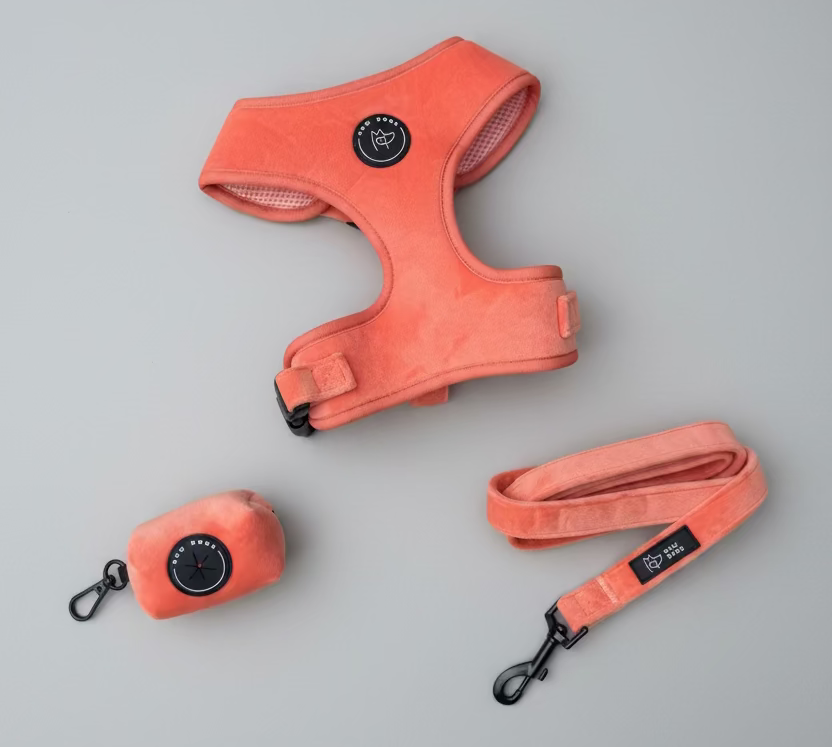 peach velvet dog harness, matching lead and poo bag holder, making up the perfect discounted dog walking set, against a soft grey background