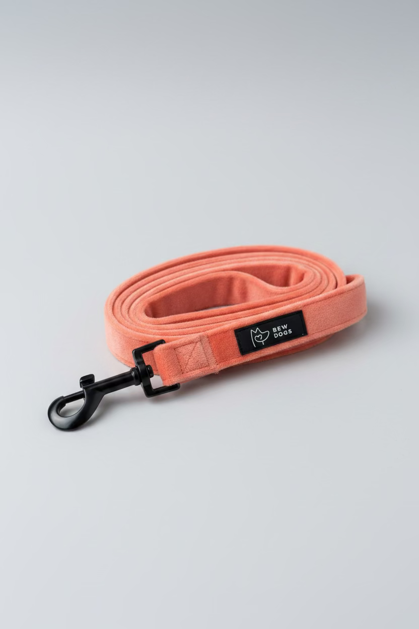 A super soft & strong peach velvet dog lead, from the Bew Dogs Sundown Collection, in a coil sits on a grey background 