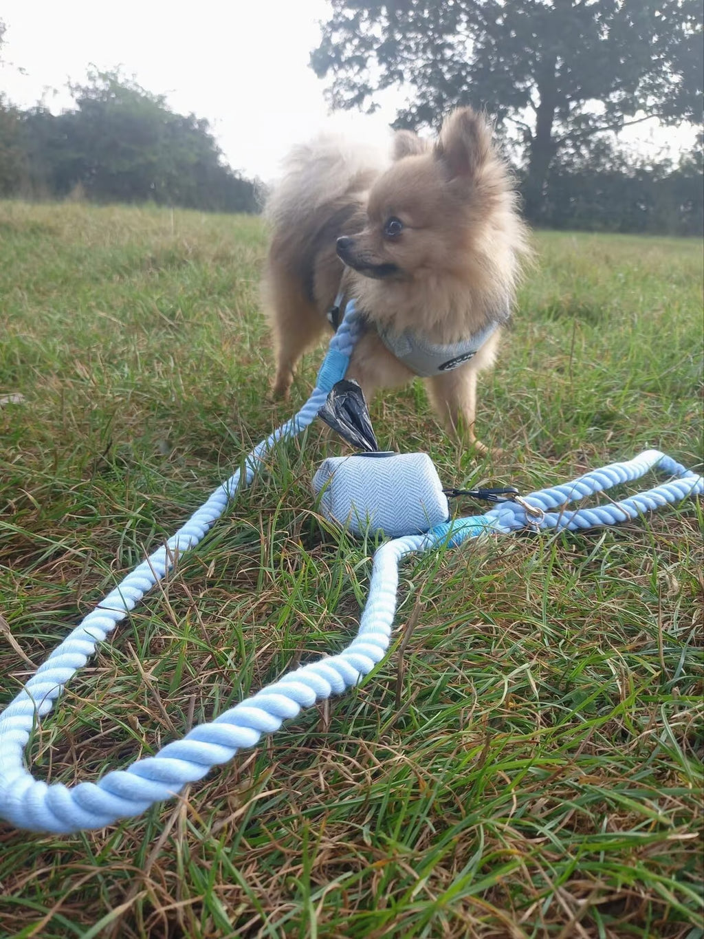 Sky Blue Harness Walking Set