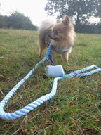 Sky Blue Harness Walking Set