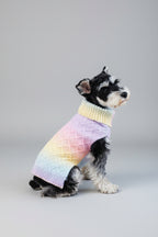 Small dog wearing a rainbow cable knit dog jumper, sitting in front of a grey background.