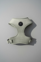 Pale green velvet adjustable dog harness, professional photoshoot against a grey background 