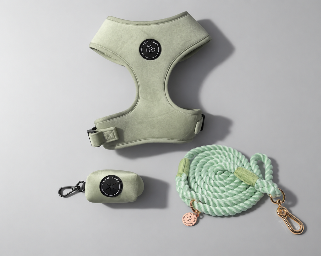 A dog walking harness set in pale sage green, including a green velvet harness, a small matching case to hold poo bags, and a thick mint green rope lead with gold-tone hardware, arranged on a light gray background - a sage green set for all dogs including size L & XL