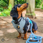 Sky Blue Rope Lead