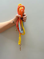 A hand with red nail polish holds a set of four thick sundown ombre rainbow rope dog leashes in orange, red, light blue, and yellow, each with a gold metal clasp, against a plain light gray wall.