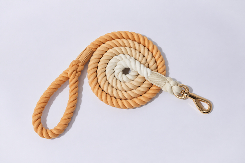 A coiled rope yellow ombre rope lead for dogs, with a thick braided design, featuring a warm yellow/orange hues, a cream middle layer, and a white inner layer, finished with a gold-tone metal clasp on a light grey background - the perfect strong lead for all dogs 