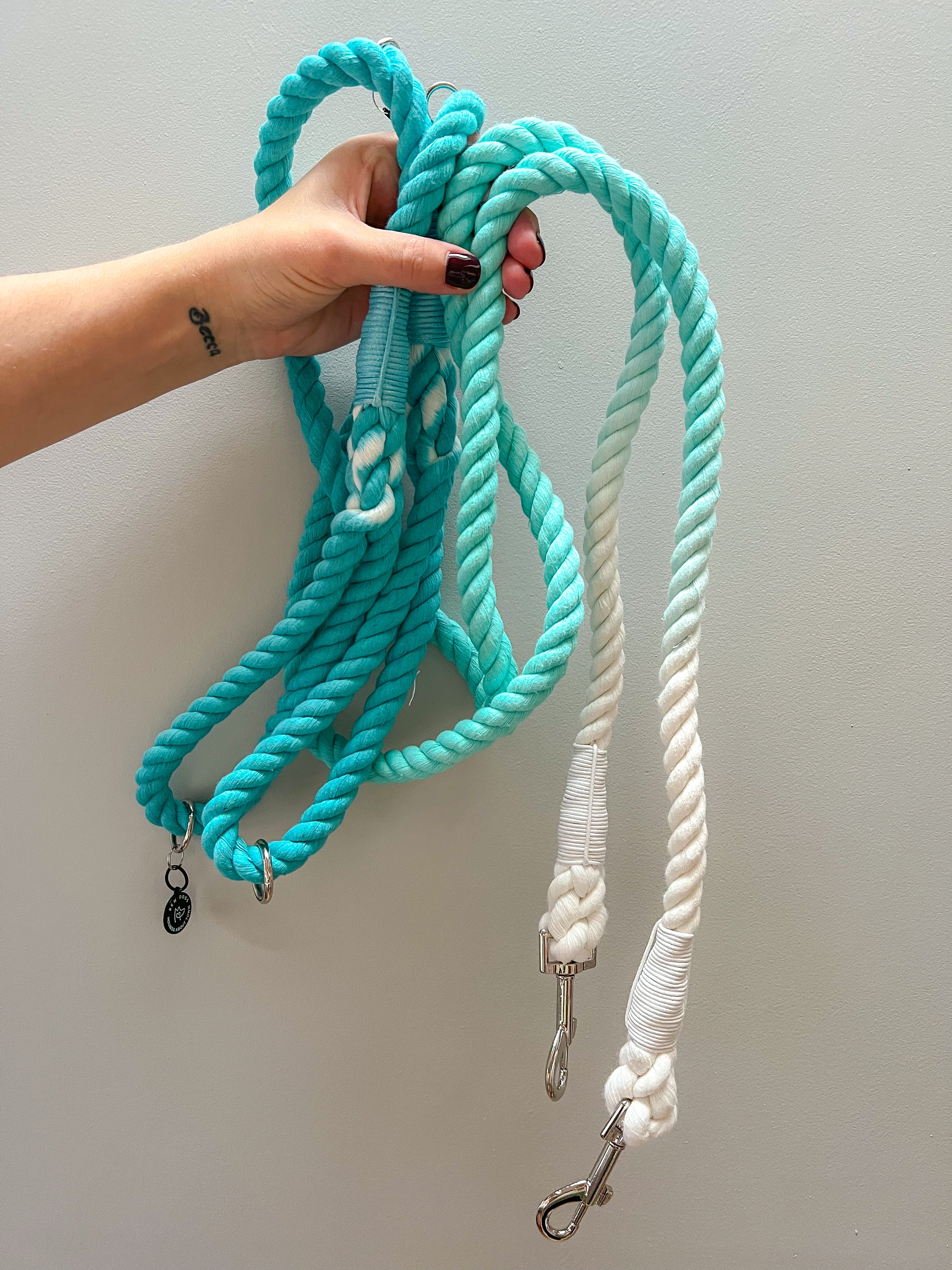 A hand holds an aqua blue and white rope lead for dogs of all shapes and sizes, against a grey wall. This rope lead is durable and stylish.